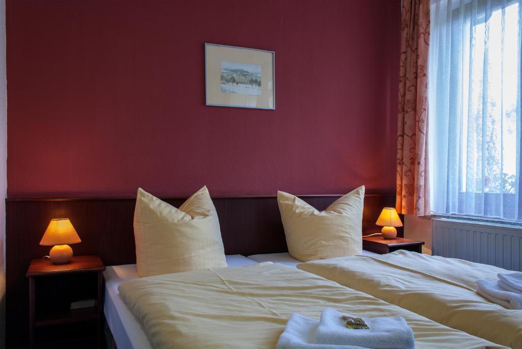Landhotel Alt-Jocketa Pöhl Pokoj fotografie